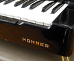 Hohner Organa built-in mic.